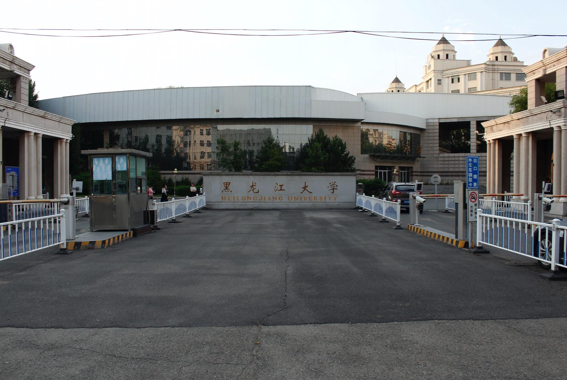 黑龙江,黑龙江，那片神秘而美丽的土地🌿