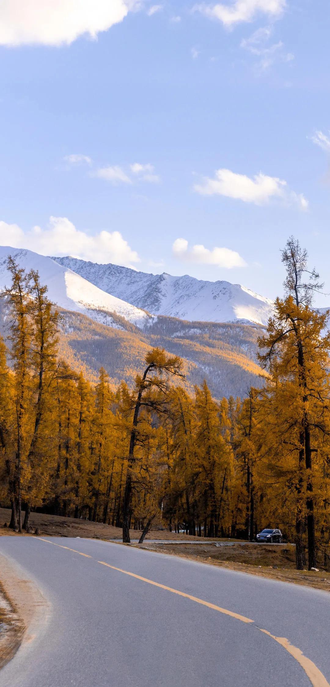 丝路明珠新疆，辉煌再现